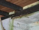Decke Unterstand Garten