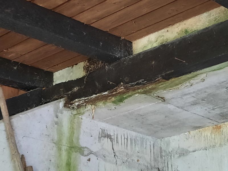Decke Unterstand Garten
