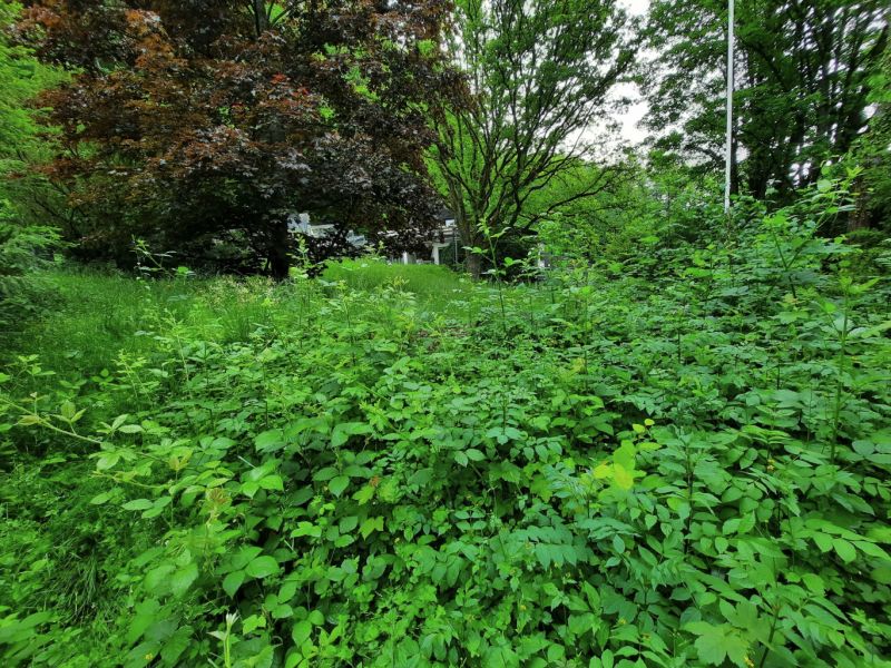 Garten aussen