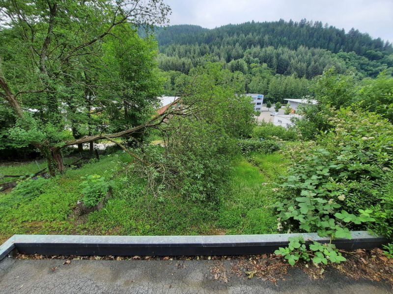Garten mitte Aufsicht