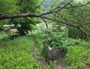 Gemusegarten links