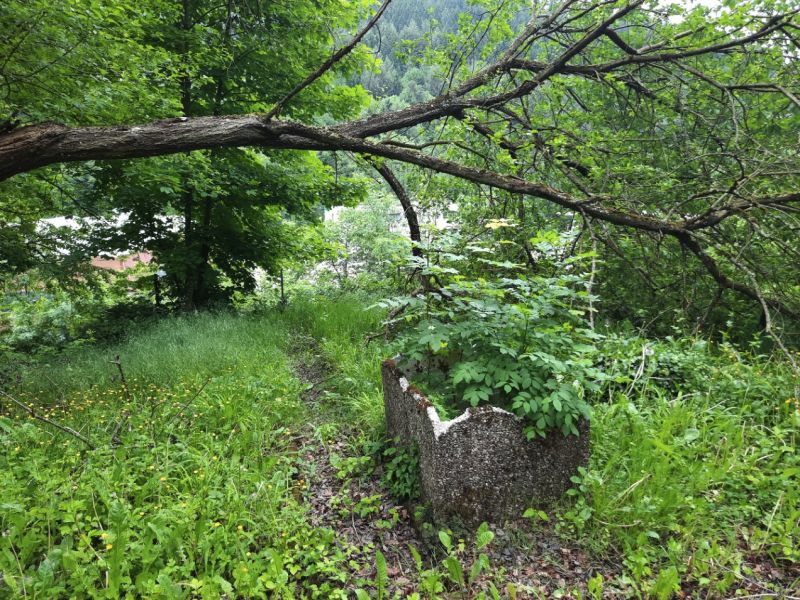 Gemusegarten links