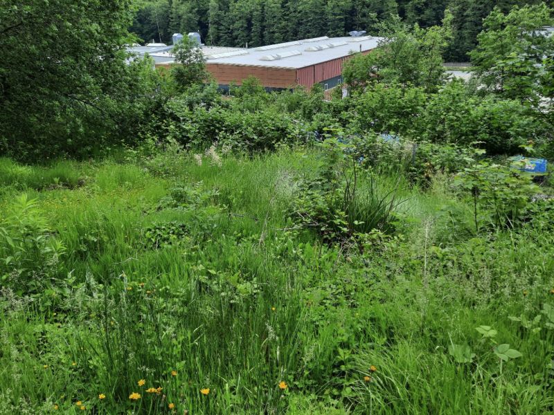Gemusegarten rechts