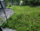 Rasen Terrassenbereich