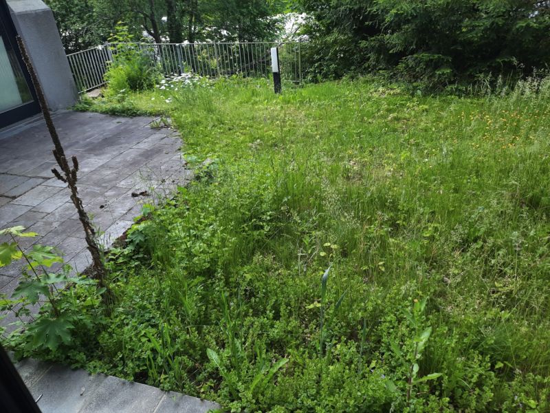 Rasen Terrassenbereich