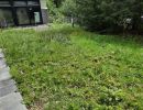 Rasen Terrassenbereich2