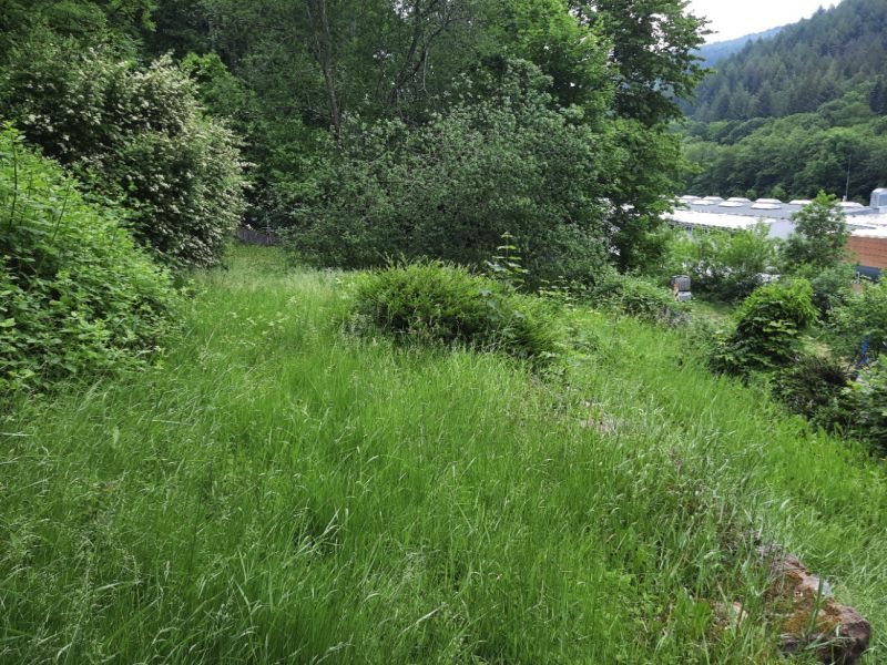 Weg ende