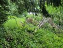 Weg hinten