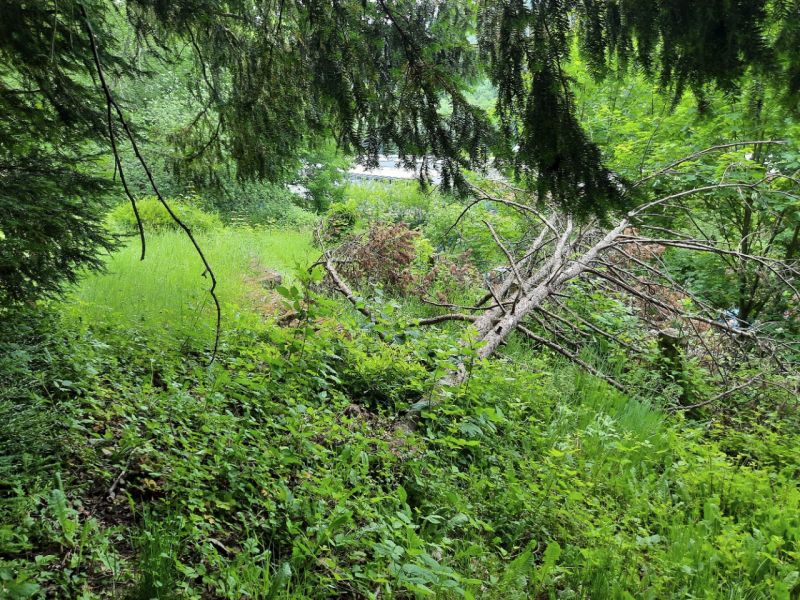 Weg hinten
